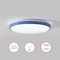Quickway Imports 2-pc 16" LED Ceiling Light Fixture Flush Mount 36W 6500K Cool Daylight Energy, Blue QI004034.L.BL.2 - alternate 1